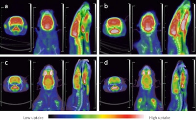 Animal study shows PET/CT can detect brain damage from TMT poisoning