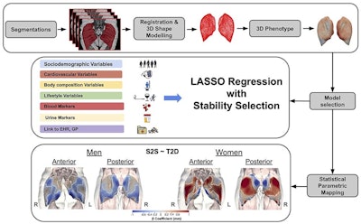 Does the shape of our buttocks signal diabetes?