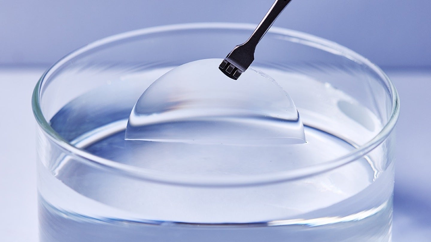 Axoft launches Fleuron WISE polymer for advanced biological imaging