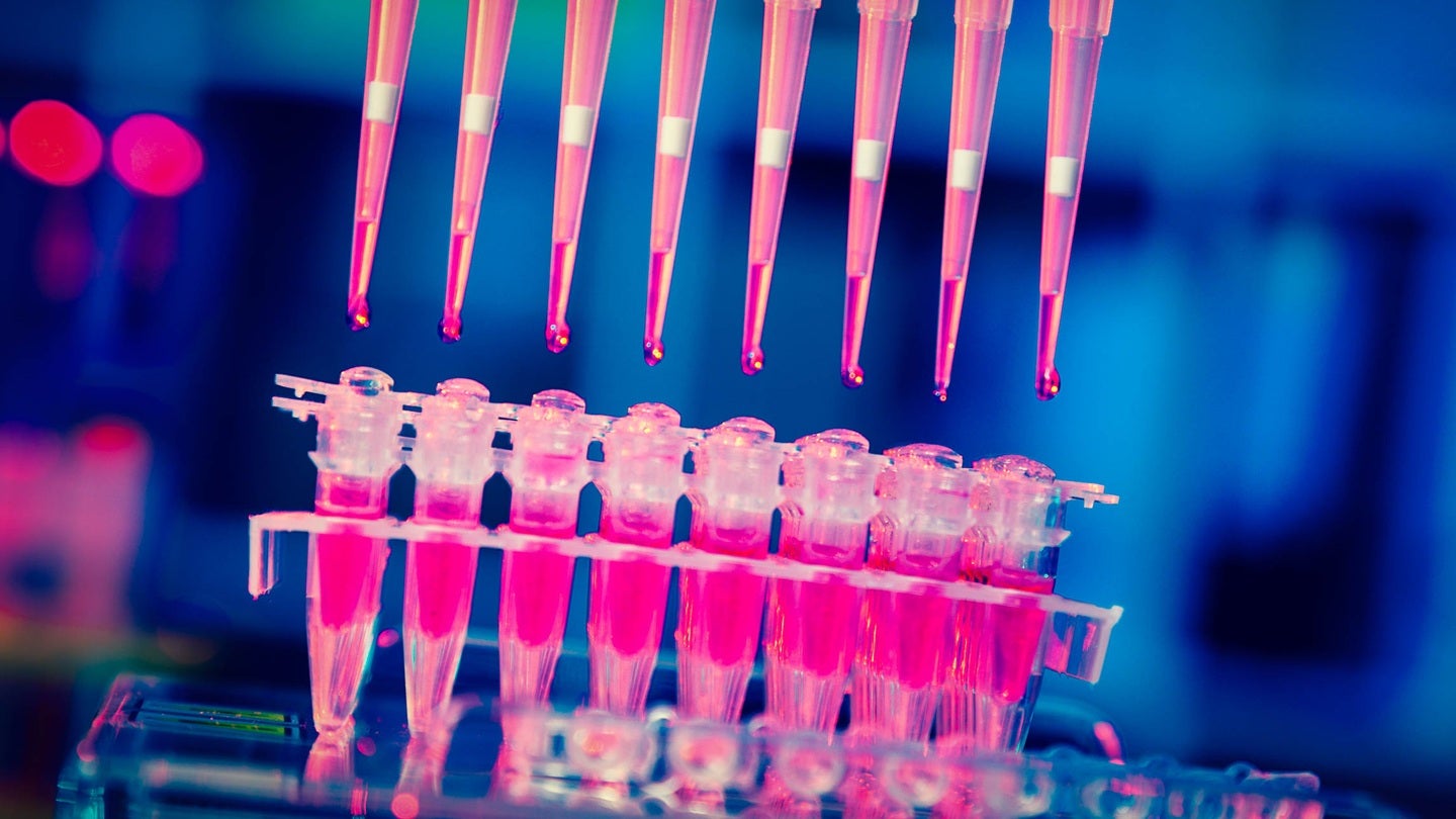 Boehringer and Envisagenics to develop precision cancer therapies