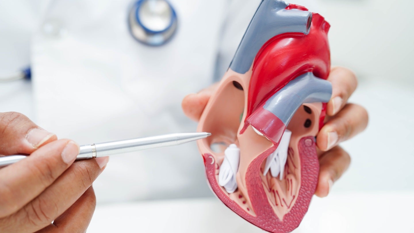 Cambridge Heartwear receives $243m tender for HeartSense wearable